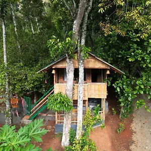 Gasthuis Fab - Bamboo Hut With Open Shower, Munnar